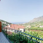 Quinta Da Saraiva Gospodarstwo agroturystyczne Câmara de Lobos