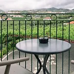 Quinta Da Saraiva Gospodarstwo agroturystyczne Câmara de Lobos