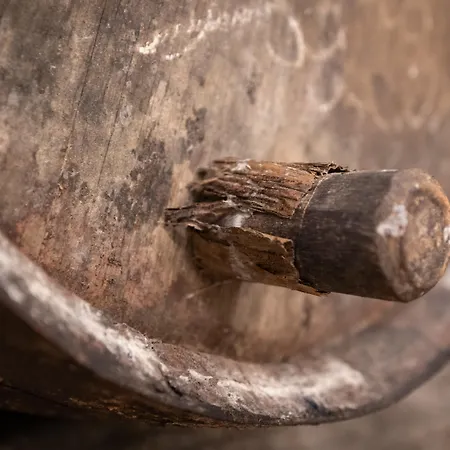 Lantgård Quinta Da Saraiva