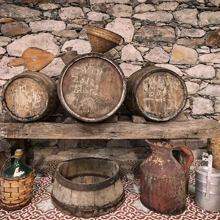 Quinta Da Saraiva * Câmara de Lobos