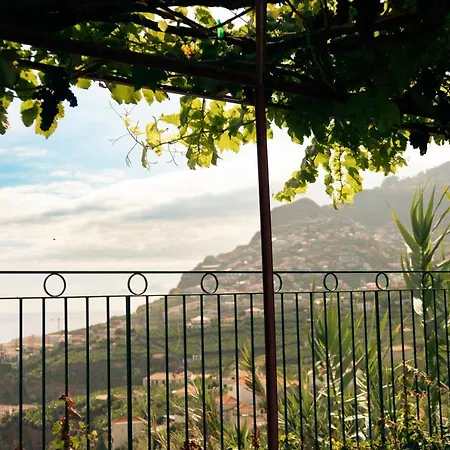 Quinta Da Saraiva * Câmara de Lobos