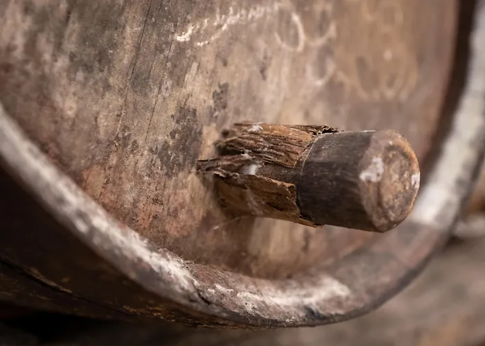 Farm stay Quinta Da Saraiva