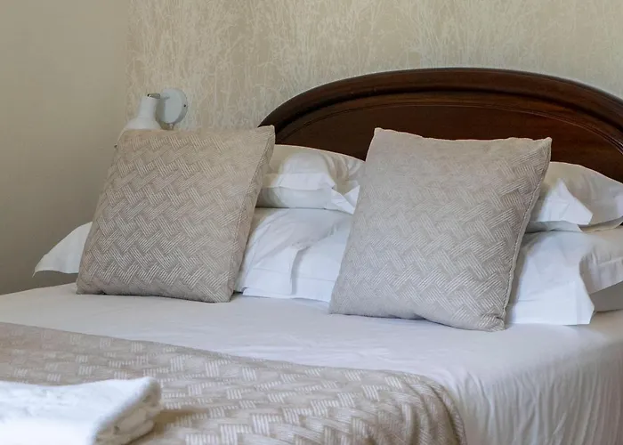 Quinta Da Saraiva Farm stay *